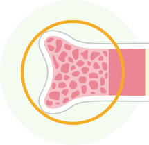 からだの中で起こっていること